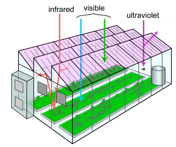 greenhouse